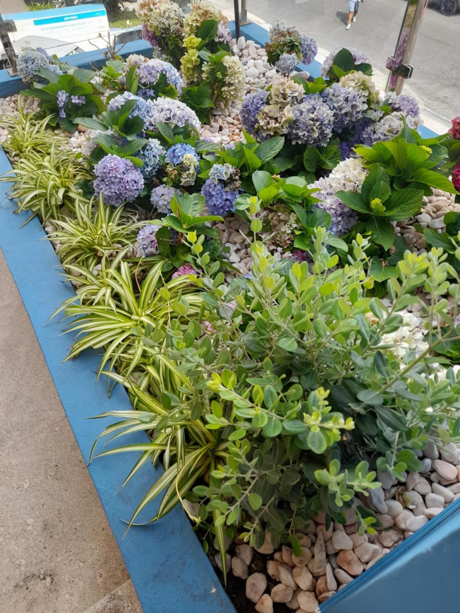 Mediterraneo Madeira São Vicente 外观 照片